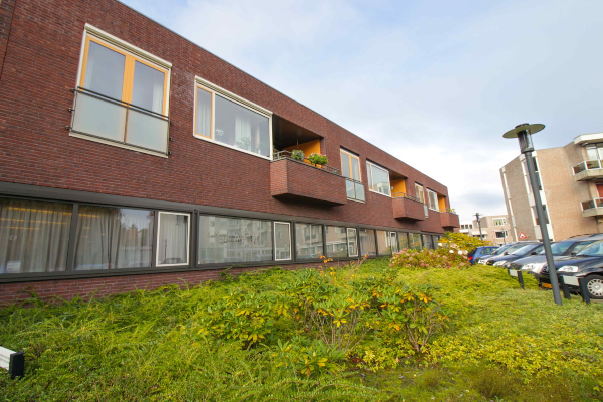 Afbeelding 2 van De Hagen